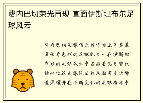费内巴切荣光再现 直面伊斯坦布尔足球风云
